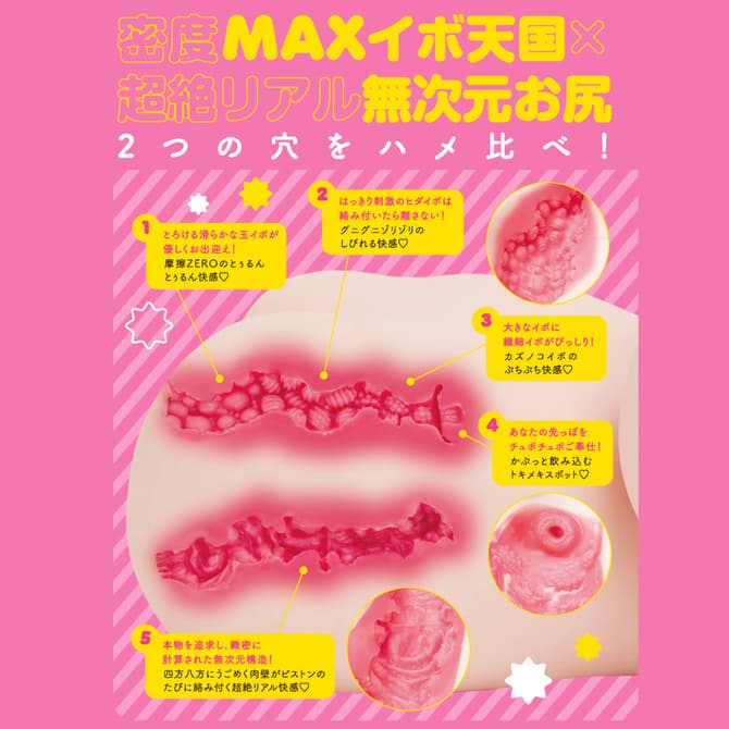 ぷにあなミラクル爆乳DX 的內部結構