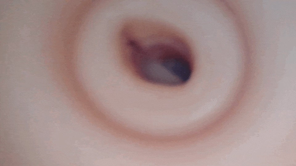 妖花淫法帖Xクロス的內部攝影