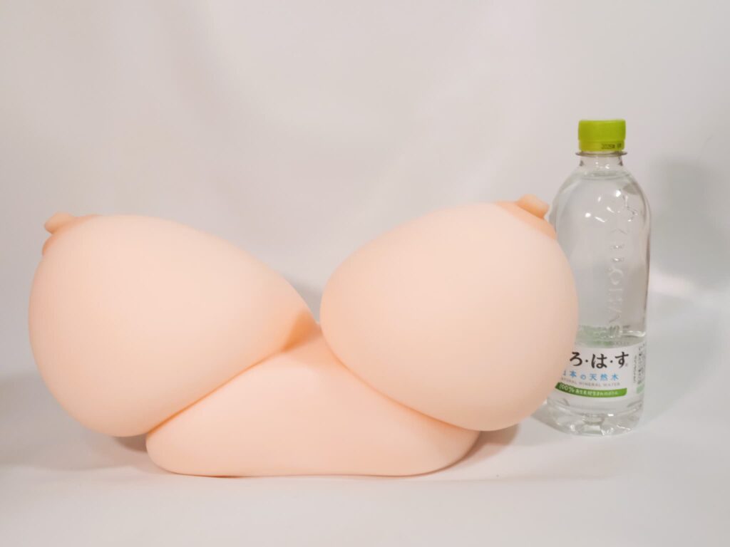 チチフエタ ロケット的尺寸感