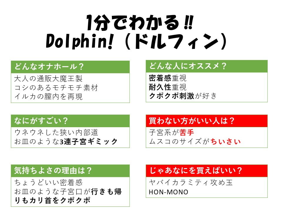 1分鐘看懂 Dolphin!(ドルフィン)