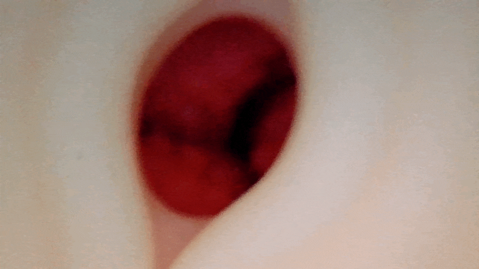 柔艶粘膜 ‐ボーイッシュ彼女 白瀬凛華の秘恋的內部攝影
