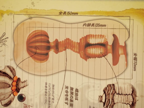 鍊金術師的自慰套鍊金工房的內部結構