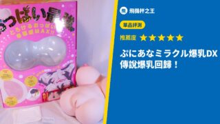 ぷにあなミラクル爆乳DX 傳說爆乳回歸！