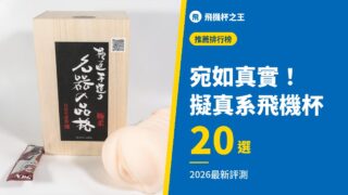 宛如真實！ 擬真系飛機杯