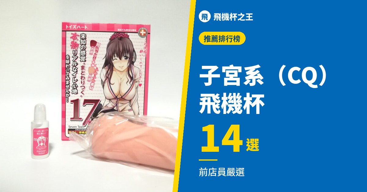 子宮系飛機杯排行榜