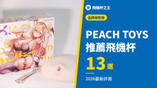 PEACH TOYS 推薦飛機杯