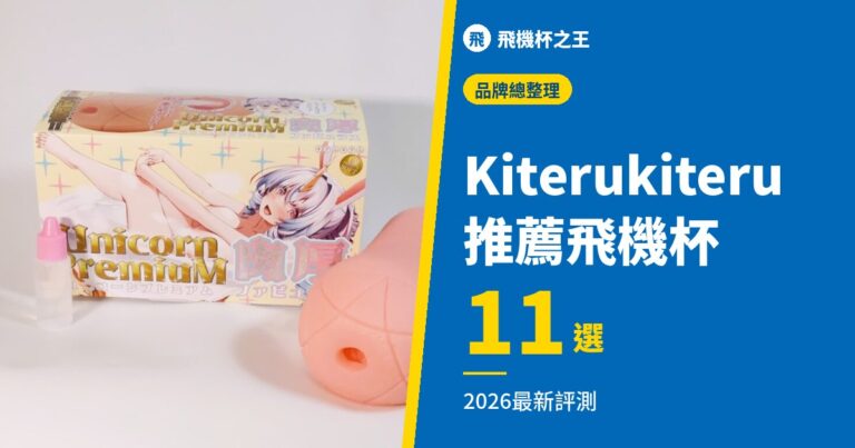 【專業精選】Kiterukiteru 推薦飛機杯 11 選【2026 最新評測】