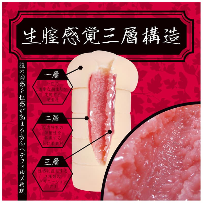 夢無花果的內部結構
