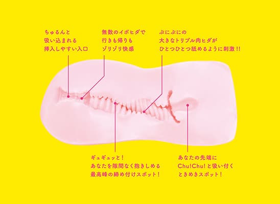 ぷにばーじんエキサイト的內部結構