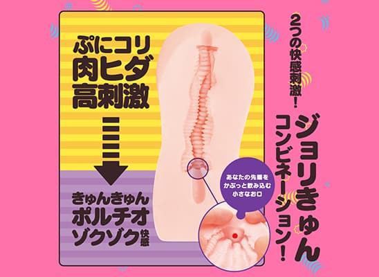 極ヒダばーじん的內部結構