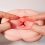 把高大女子的一穴入根W子宮掰開來看