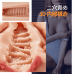リアルな膣マンコ的內部結構