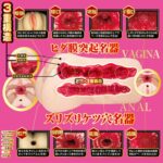 名器の証明ファイル No.015 石川澪的內部結構