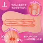 濃厚旋繞肉壁的內部結構