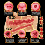 萌えあがる発情美人妻 完熟名器物語 JULIA的內部結構