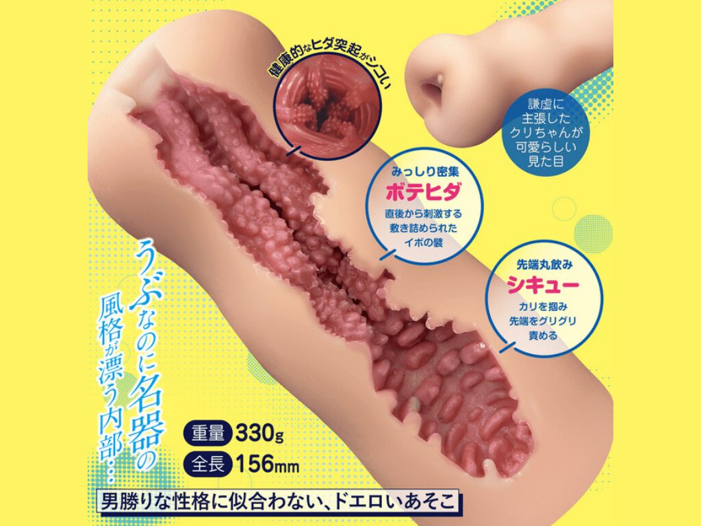 我的中性女友的內部結構
