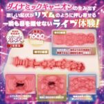 小悪魔アイドル黒咲あくり ダイナミックキャニオンライブ的內部結構