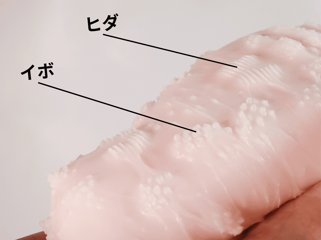 軟娘肉球Q的肉球顆粒突起