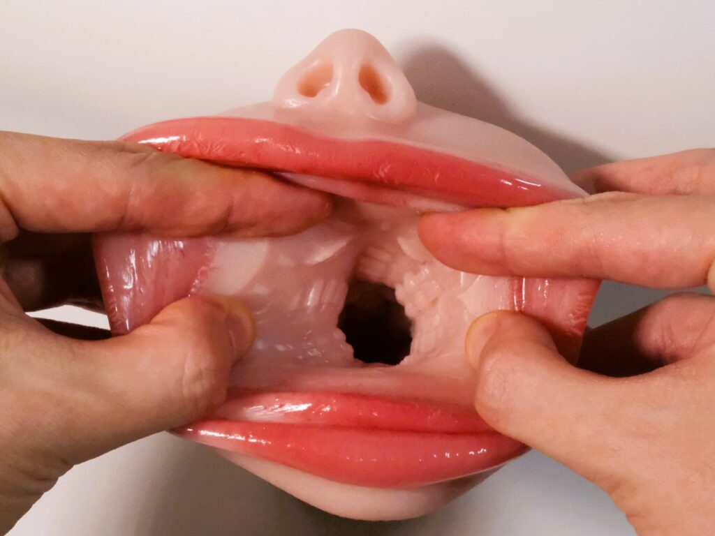 把フェラプラズム掰開來看看