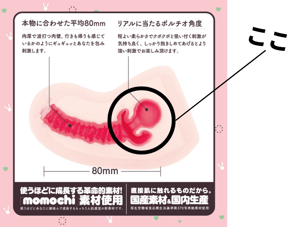 生 HON-MONO的子宮點