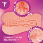 濃厚旋繞肉壁的內部結構