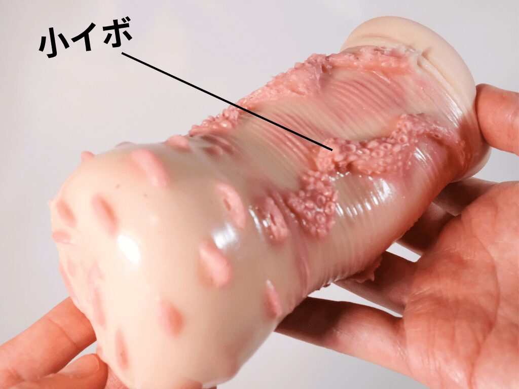 我的中性女友的厚皺褶表面顆粒
