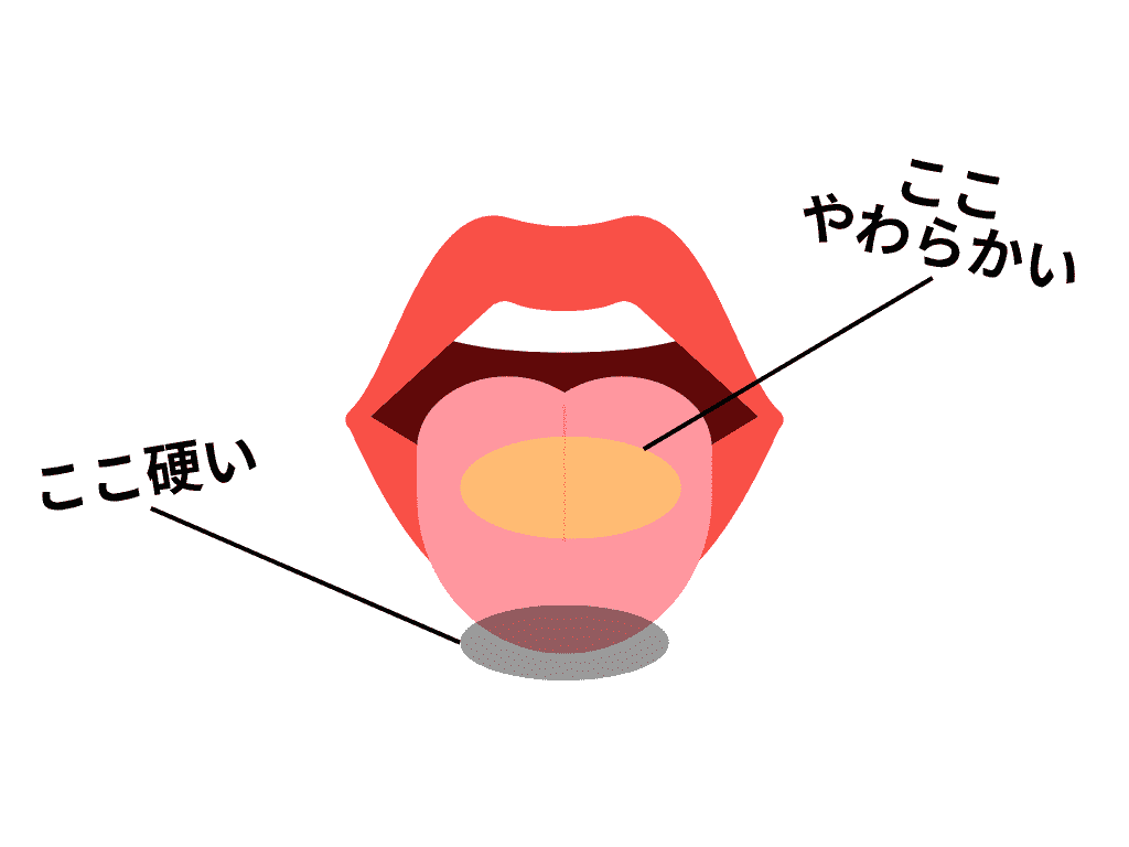 口交時舌頭的硬度