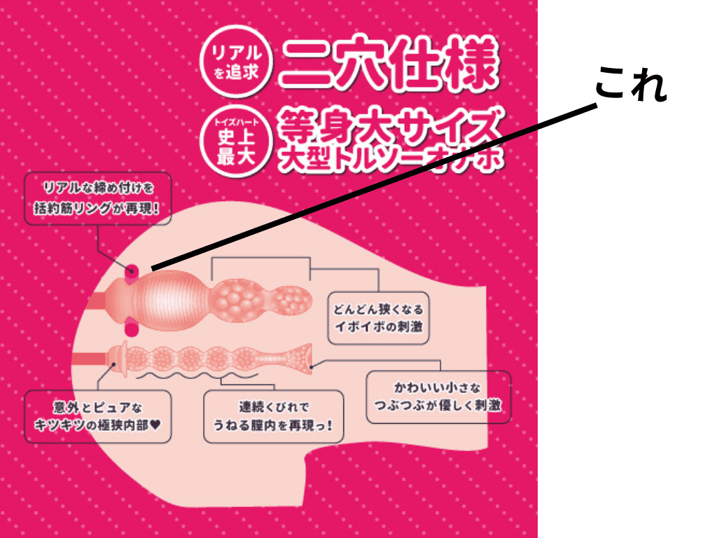 您喜歡有著淫蕩又H的大屁股的姊姊嗎?的後庭穴內部結構