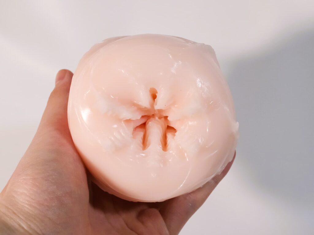 感觸標本 捻轉 的半翻面