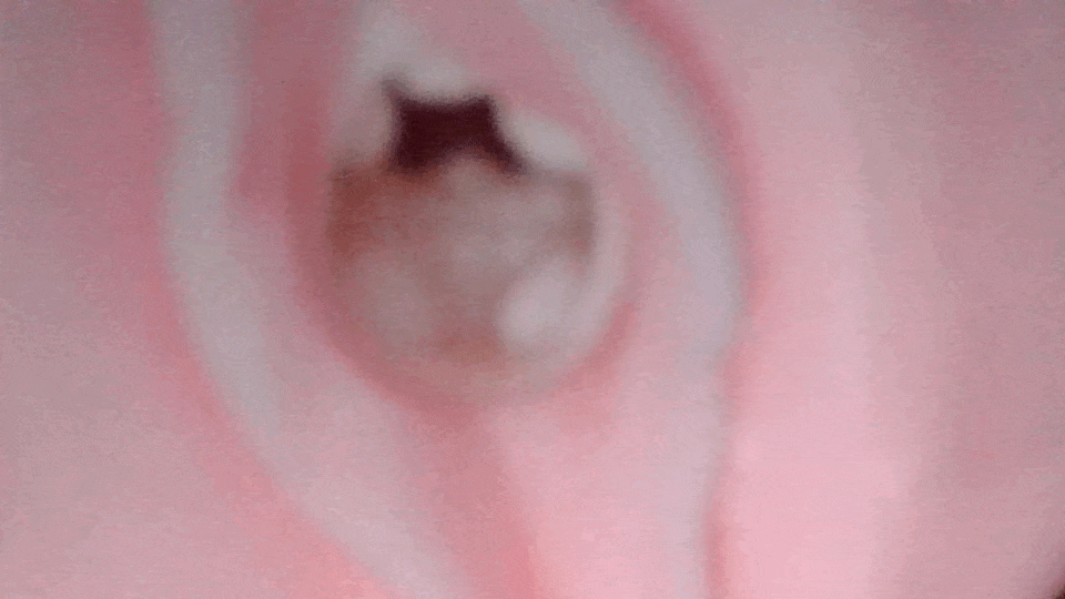 軟娘肉球Q的內部攝影