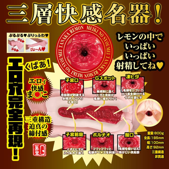 名器の証明13 田中レモン的內部結構