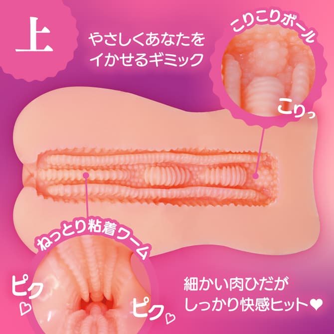濃厚旋繞肉壁的內部結構