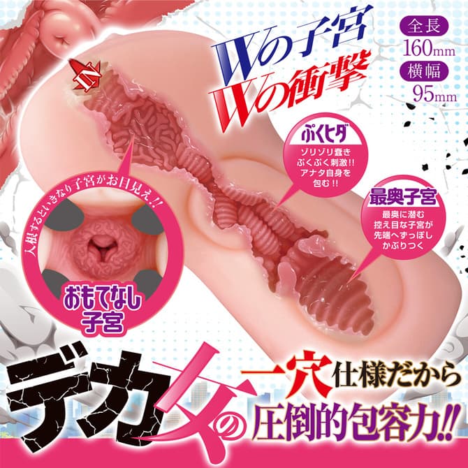 高大女子的一穴入根W子宮的內部結構