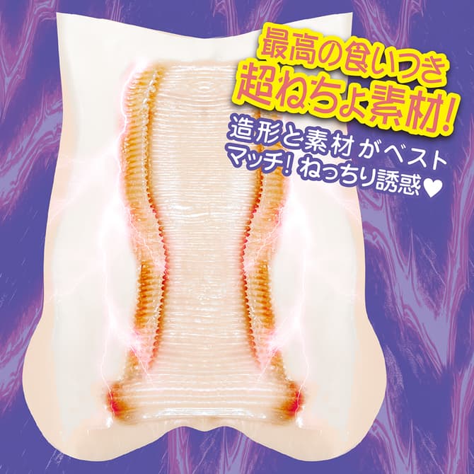 紡紗邊境的內部結構