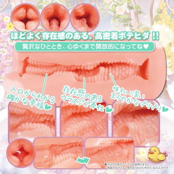 温泉欲情3 內部結構