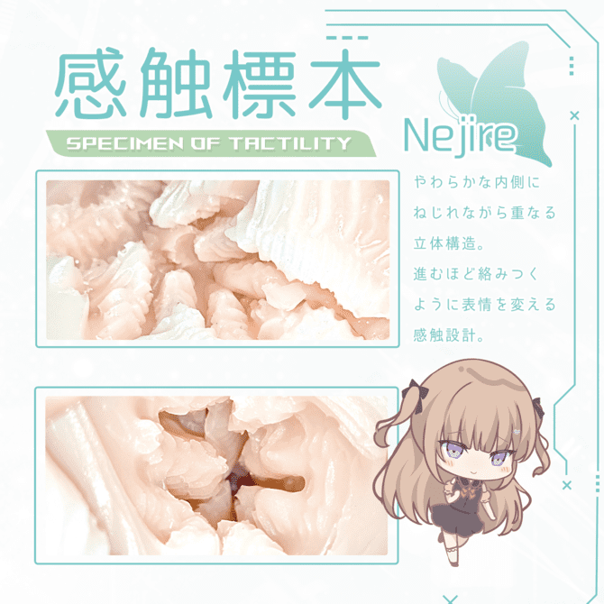 感觸標本 捻轉 的內部結構