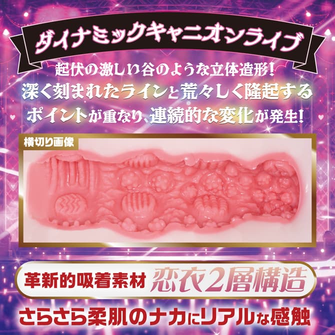 小悪魔アイドル黒咲あくり ダイナミックキャニオンライブ的內部結構