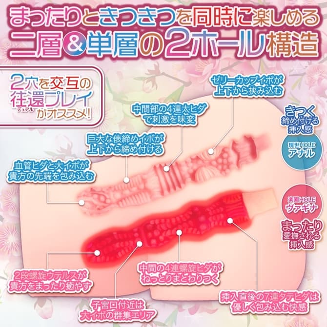 桃源郷小妖精的內部結構