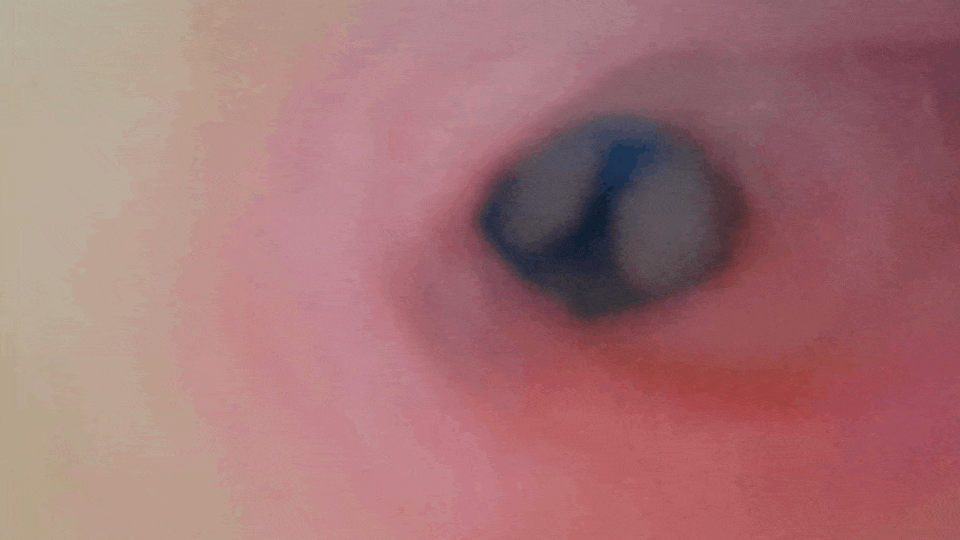 愛撫ing名器 月川雛小穴的內部攝影