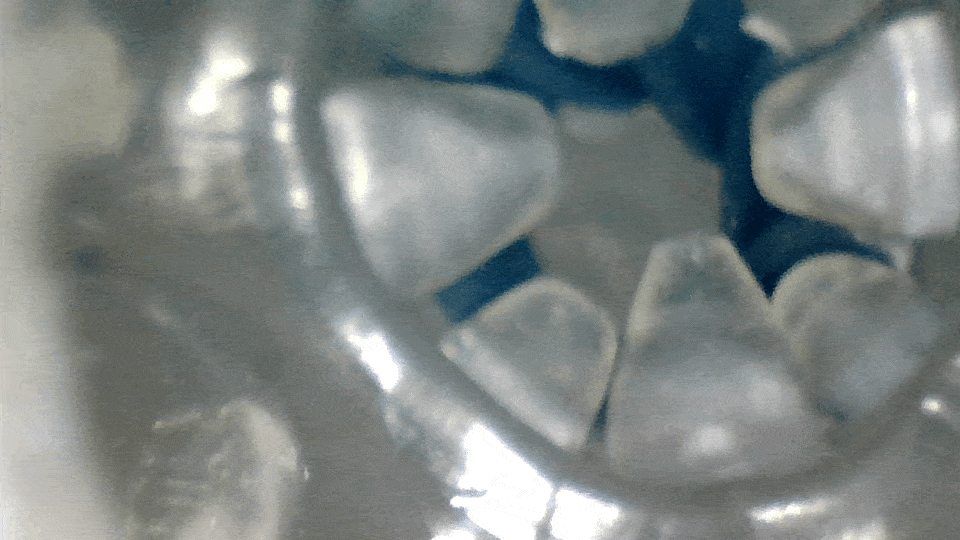 Silver Ring 的內部